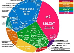 Biểu đồ nền kinh tế thế giới