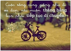 Cuộc sống giống như đi xe đạp: muốn giữ thăng bằng thì phải tiếp tục di chuyển