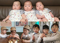 Daehan - Minguk Manse thay đổi như thế nào sau 3 năm từ khi lên sóng?