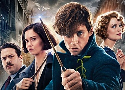 J.K. Rowling đang lên kế hoạch phát triển năm phim tiếp theo của 'Fantastic beasts'