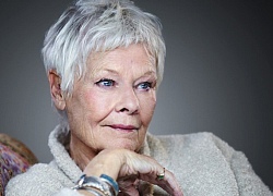 Judi Dench tham gia phim nhạc kịch Cats