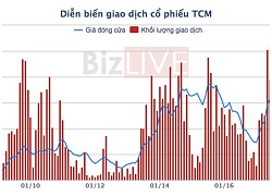 Khách hàng Mỹ đóng góp 7% doanh thu Dệt may Thành Công đã nộp đơn phá sản