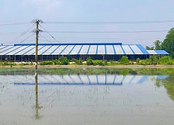 Long An: Hơn 10.000m2 nhà xưởng xây dựng không phép bị xử phạt