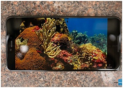 Mổ bụng Google Pixel 3 cho thấy màn hình OLED được sản xuất bởi LG Display, chất lượng không thua kém Samsung