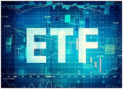 Nhà đầu tư chú ý: Quỹ ETF nội với quy mô hơn 4.000 tỷ đồng sẽ thực hiện cơ cấu danh mục trong phiên 19/10