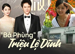 Triệu Lệ Dĩnh: Không gia thế, tiếng Anh kém, EQ thấp nhưng lại vượt mặt loạt chân dài trở thành "bà Phùng" danh giá