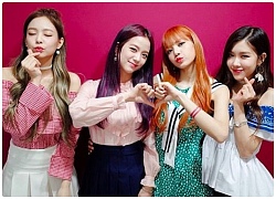 YG sản xuất full album Nhật của BLACKPINK trước cả Hàn nhưng đây mới là điều khiến fan tức giận