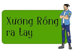 Cả hai lựa chọn mà vợ đưa ra đều khó khăn với tôi, khiến tôi tuyệt vọng vô cùng