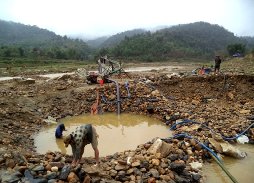 Cuộc chiến giữa các đại ca tranh giành lãnh địa "vàng tặc"