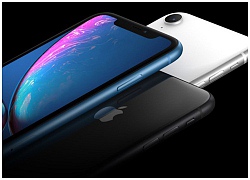 iPhone XR không bị trì hoãn lên kệ, có lẽ do nhu cầu thấp