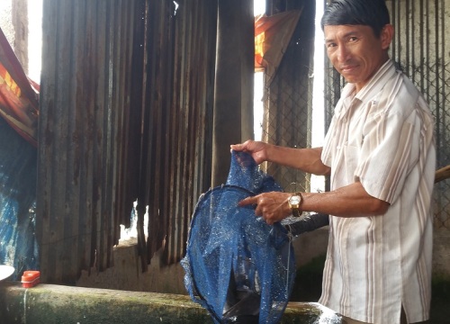 Làm giàu nông thôn: Bỏ lúa, đào ao nuôi cá, lãi 300 triệu/năm