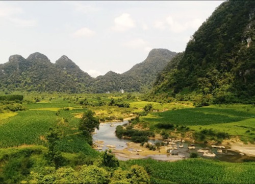 "Người bất tử"... trở về