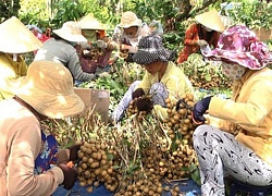 Nông dân Thắng Hải giữ gìn an ninh trật tự xây dựng nông thôn mới