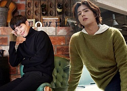 Park Bo Gum là minh chứng rõ nhất cho việc trên đời vẫn có người đàn ông hoàn hảo