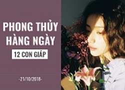 Phong thủy hàng ngày (21/10) của 12 con giáp