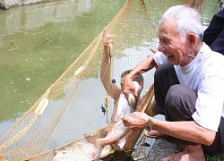 Trí thức trẻ về làm nông dân: "Luồng gió mới" cho các HTX xứ Lạng