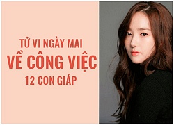 Tử vi ngày mai (22/10) về công việc của 12 con giáp: Tuổi Dần căng thẳng