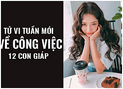 Tử vi tuần mới (22/10 28/10) về công việc của 12 con giáp