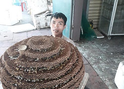 Chàng trai khoe loài ong 'đốt thần ngả ngửa', làm tổ khủng nặng 35 kg