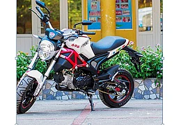 Ducati Monster 110: giải pháp cho cơn &#8220;cuồng&#8221; Ducati của biker Việt