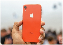 iPhone XR "cháy hàng", khách Việt vẫn không quan tâm vì đắt