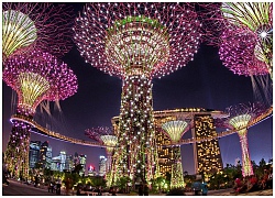 Khám phá "Khu Vườn Địa Đàng" Garden By The Bay khi đi du lịch Singapore