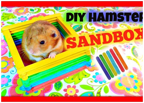 Làm cũi dễ thương cho hamster bằng que đè lưỡi