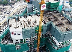 Ricons lãi 215 tỷ đồng sau 9 tháng, hoàn thành 88% kế hoạch năm