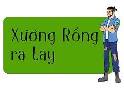 Sống với nhau 8 năm rồi mà tôi cũng không hiểu vì sao mình lại lấy cô ấy làm vợ