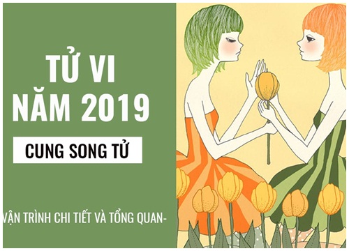 Tử vi năm 2019 cung Song Tử: Nhân duyên tốt đẹp, sự nghiệp thăng hoa