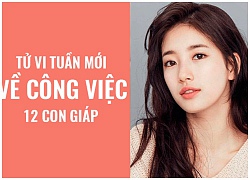 Tử vi tuần mới (29/10 4/10) về công việc của 12 con giáp