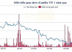 Thêm một công ty con của Tập đoàn Gỗ Trường Thành giải thể