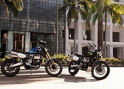 Triumph tiết lộ hình ảnh về những chiếc Scrambler 1200cc mạnh mẽ hoàn toàn mới của mình