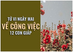 Tử vi ngày mai (25/10) về công việc của 12 con giáp: Tuổi Thìn bị phản bội