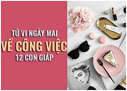 Tử vi ngày mai (27/10) về công việc của 12 con giáp: Tuổi Ngọ kiệt sức