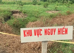 'Hố tử thần' nuốt chửng gần chục cây cam, vải trong vườn nhà dân ở Quảng Ninh