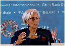 IMF 'bật đèn xanh' cho Argentina, nâng gói vay tín dụng dự phòng lên 56,3 tỷ USD