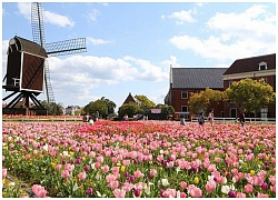 Mãn nhãn ở Huis Ten Bosch