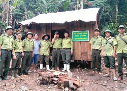 Nửa đêm, 4 bảo vệ rừng bị 40 người kéo lê ra ngoài rồi đốt chòi canh