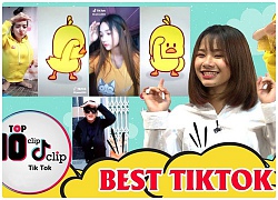 Trào lưu vịt vàng khổng lồ làm mưa làm gió trên cộng đồng Tik Tok thế giới