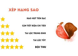 Tử vi hôm nay (27/10) về tài chính của 12 con giáp: Tuổi Dậu nhiều cơ hội kiếm lời