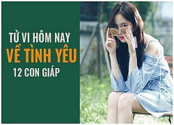 Tử vi hôm nay (27/10) về tình yêu của 12 con giáp: Tuổi Hợi thờ ơ