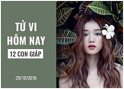 Tử vi hôm nay (29/10/2018) của 12 con giáp: Tuổi Tý tự tin, tuổi Sửu thận trọng