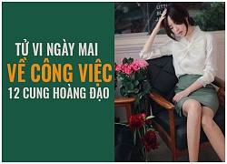 Tử vi ngày mai (28/10) về công việc của 12 cung hoàng đạo: Song Tử mệt mỏi