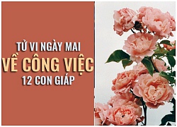 Tử vi ngày mai (29/10) về công việc của 12 con giáp: Tuổi Thân lao lực