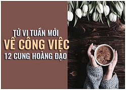 Tử vi tuần mới (29/10 4/10) về công việc của 12 cung hoàng đạo