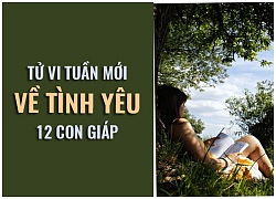 Tử vi tuần mới (29/10 - 4/11) về tình yêu của 12 con giáp