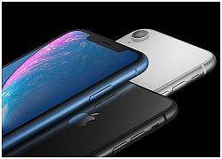 Vừa 'bay' về Việt Nam, iPhone Xr đã rớt giá khủng khiếp