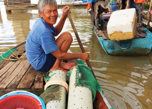 An Giang: Lênh đênh theo con "cá chạy", trúng cá lớn kiếm tiền triệu