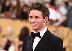 Eddie Redmayne đang đàm phán tham gia phim mới của Aaron Sorkin